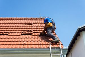 maintain your roof