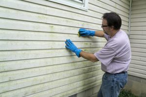 Man cleaning his Waycross siding